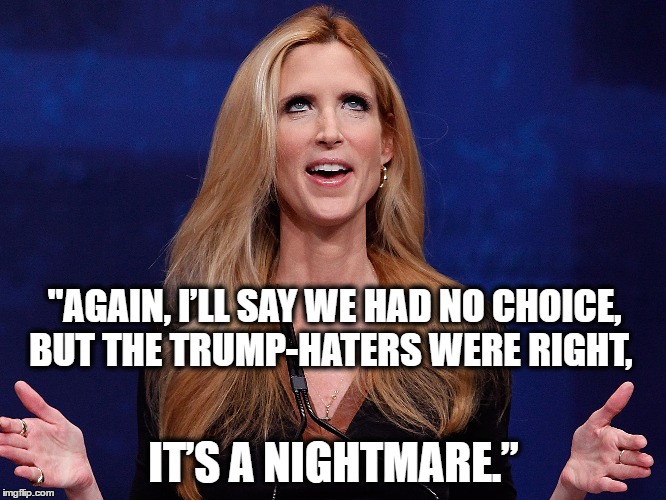 Ann Coulter Imgflip