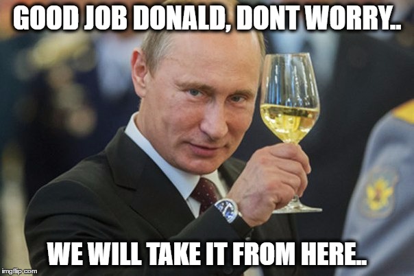 Putin Cheers | GOOD JOB DONALD, DONT WORRY.. WE WILL TAKE IT FROM HERE.. | image tagged in putin cheers | made w/ Imgflip meme maker
