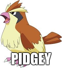 Pidgey | PIDGEY | image tagged in pidgey | made w/ Imgflip meme maker