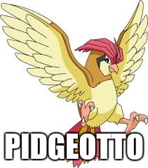 PIDGEOTTO | image tagged in pidgeotto | made w/ Imgflip meme maker