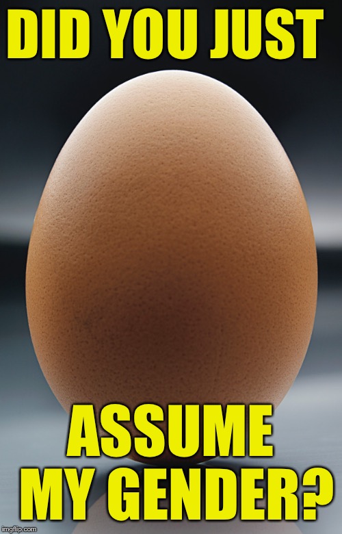 Did you just assume my gender? |  DID YOU JUST; ASSUME MY GENDER? | image tagged in did you just assume my gender,chicken,egg | made w/ Imgflip meme maker