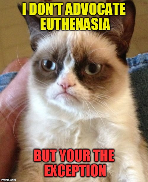 Grumpy Cat | I DON'T ADVOCATE EUTHENASIA; BUT YOUR THE EXCEPTION | image tagged in memes,grumpy cat | made w/ Imgflip meme maker