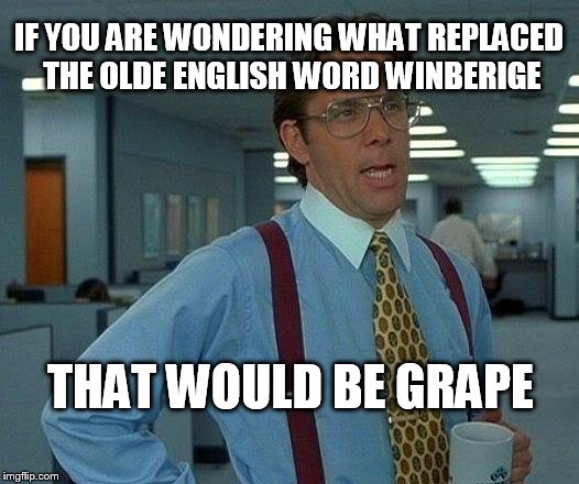 Make Germanic Roots Great Again | IF YOU ARE WONDERING WHAT REPLACED THE OLDE ENGLISH WORD WINBERIGE; THAT WOULD BE GRAPE | image tagged in memes,that would be great | made w/ Imgflip meme maker