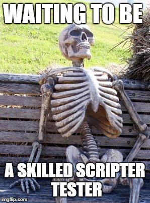 Waiting Skeleton | WAITING TO BE; A SKILLED SCRIPTER TESTER | image tagged in memes,waiting skeleton | made w/ Imgflip meme maker