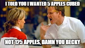 I TOLD YOU I WANTED 5 APPLES CUBED; NOT 125 APPLES, DAMN YOU BECKY | image tagged in damn you becky | made w/ Imgflip meme maker