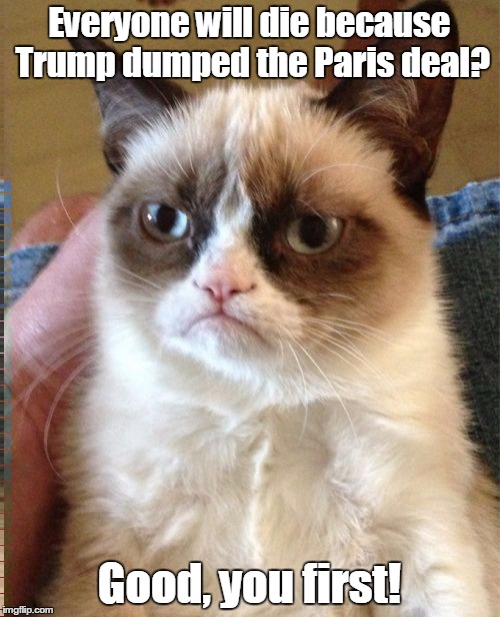 Grumpy Cat Meme | Everyone will die because Trump dumped the Paris deal? Good, you first! | image tagged in memes,grumpy cat | made w/ Imgflip meme maker