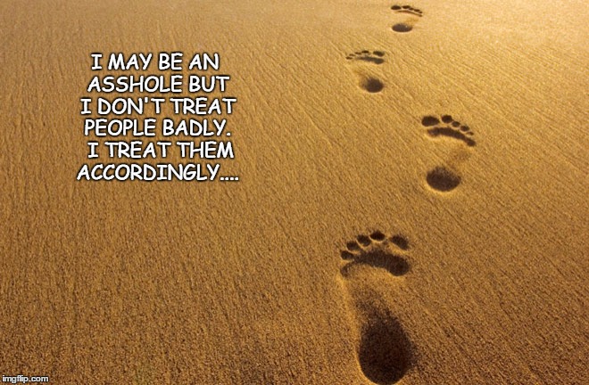 asshole | I MAY BE AN ASSHOLE BUT I DON'T TREAT PEOPLE BADLY.  I TREAT THEM ACCORDINGLY.... | image tagged in walking,motivational | made w/ Imgflip meme maker