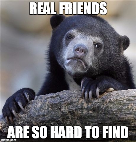Confession Bear Meme | REAL FRIENDS ARE SO HARD TO FIND | image tagged in memes,confession bear | made w/ Imgflip meme maker
