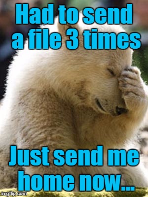 Facepalm Bear | Had to send a file 3 times; Just send me home now... | image tagged in memes,facepalm bear | made w/ Imgflip meme maker