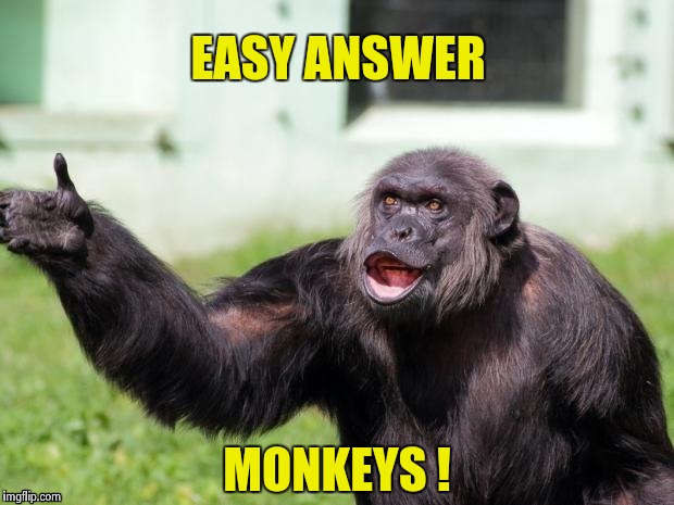 Gorilla your dreams | EASY ANSWER MONKEYS ! | image tagged in gorilla your dreams | made w/ Imgflip meme maker