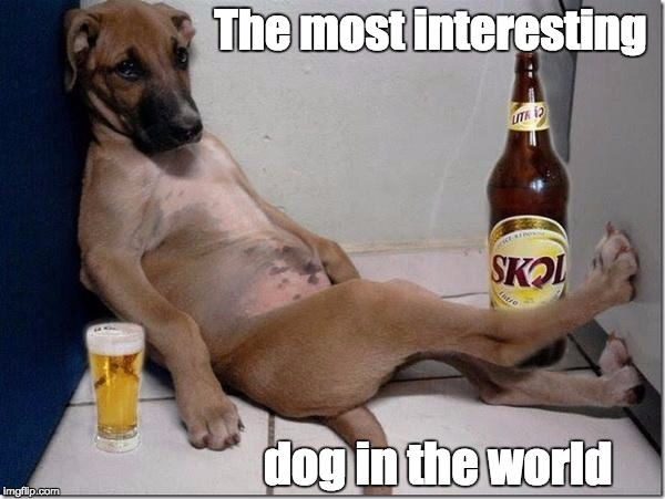 The most interesting; dog in the world | image tagged in drunk dog | made w/ Imgflip meme maker
