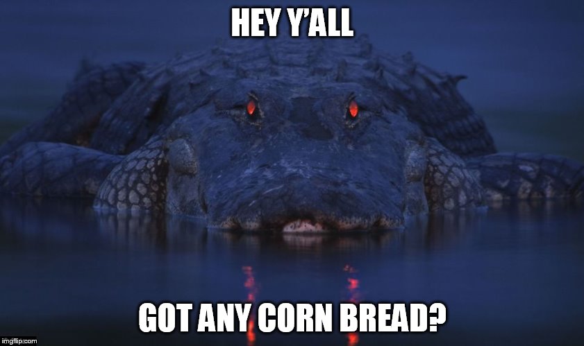HEY Y’ALL, GOT ANY CORN BREAD? | HEY Y’ALL; GOT ANY CORN BREAD? | image tagged in dmb,dave matthews band,corn bread,alligator,hey yall got any corn bread | made w/ Imgflip meme maker
