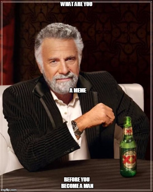 The Most Interesting Man In The World Meme | WHAT ARE YOU; A MEME; BEFORE YOU BECOME A MAN | image tagged in memes,the most interesting man in the world | made w/ Imgflip meme maker