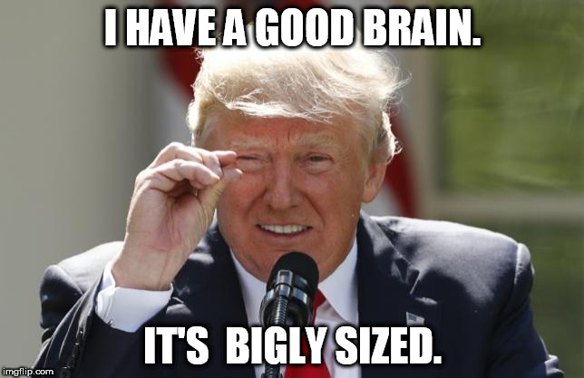 trump my little brain | I HAVE A GOOD BRAIN. IT'S  BIGLY SIZED. | image tagged in trump,idiot | made w/ Imgflip meme maker