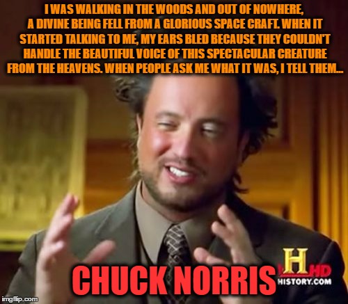 Ancient Aliens Meme | I WAS WALKING IN THE WOODS AND OUT OF NOWHERE, A DIVINE BEING FELL FROM A GLORIOUS SPACE CRAFT. WHEN IT STARTED TALKING TO ME, MY EARS BLED BECAUSE THEY COULDN'T HANDLE THE BEAUTIFUL VOICE OF THIS SPECTACULAR CREATURE FROM THE HEAVENS. WHEN PEOPLE ASK ME WHAT IT WAS, I TELL THEM... CHUCK NORRIS | image tagged in memes,ancient aliens | made w/ Imgflip meme maker