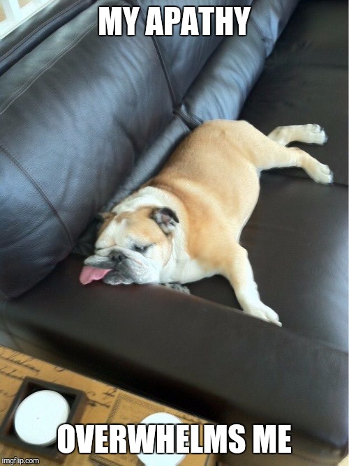 Bulldog sleeping on couch | MY APATHY; OVERWHELMS ME | image tagged in bulldog sleeping on couch | made w/ Imgflip meme maker