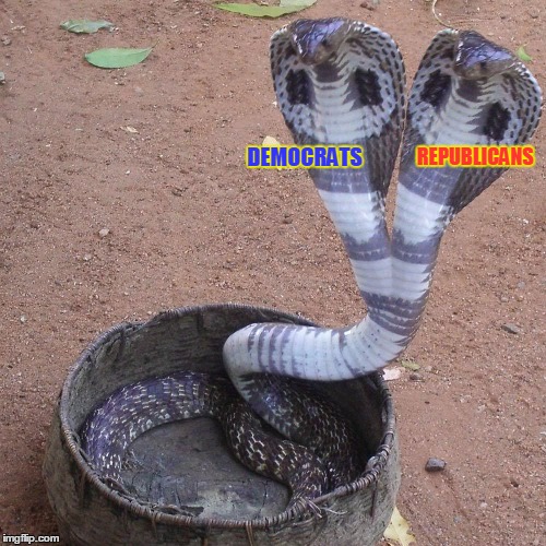 Pick your poison, you lose either way | REPUBLICANS; DEMOCRATS | image tagged in animals,snakes,cobra,democrats,republicans,liberty | made w/ Imgflip meme maker