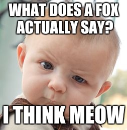 Skeptical Baby | WHAT DOES A FOX ACTUALLY SAY? I THINK MEOW | image tagged in memes,skeptical baby | made w/ Imgflip meme maker