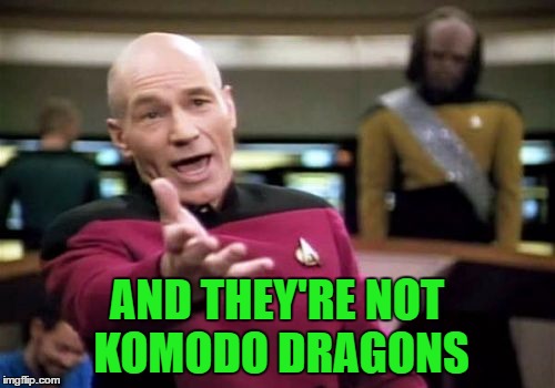 Picard Wtf Meme | AND THEY'RE NOT KOMODO DRAGONS | image tagged in memes,picard wtf | made w/ Imgflip meme maker
