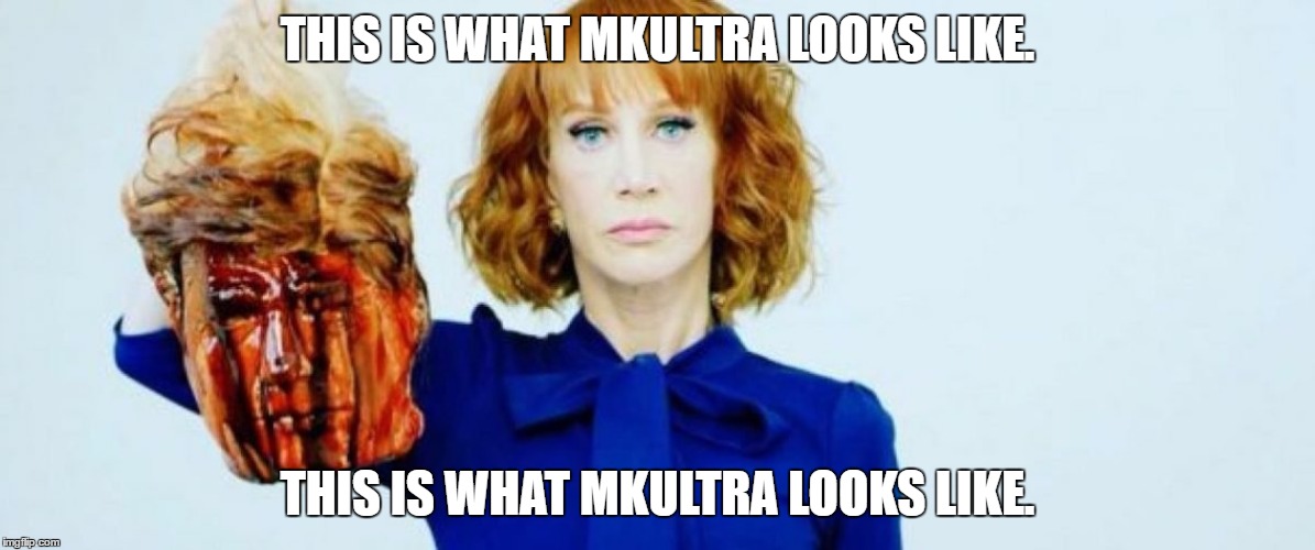 THIS IS WHAT MKULTRA LOOKS LIKE. THIS IS WHAT MKULTRA LOOKS LIKE. | image tagged in drumpf,kathy griffin,tolerance,lgbt,feminism | made w/ Imgflip meme maker
