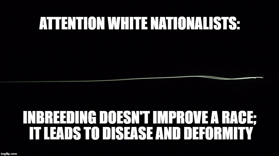 Nationalism Leads to Inbreeding | ATTENTION WHITE NATIONALISTS:; INBREEDING DOESN'T IMPROVE A RACE; IT LEADS TO DISEASE AND DEFORMITY | image tagged in kkk,white nationalism,inbreeding | made w/ Imgflip meme maker