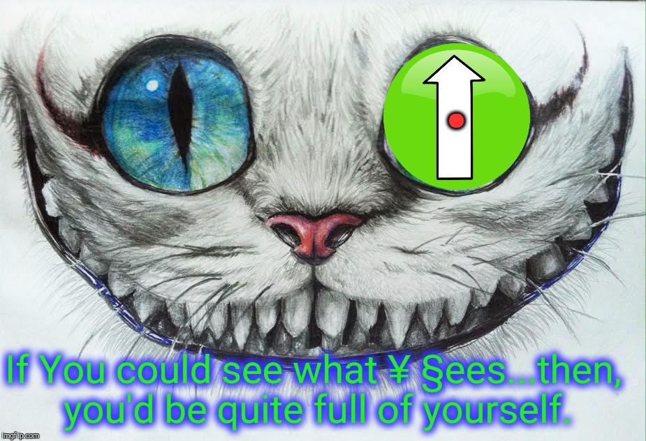 . If You could see what ¥ §ees...then, you'd be quite full of yourself. | made w/ Imgflip meme maker