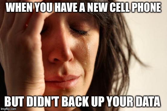 First World Problems | WHEN YOU HAVE A NEW CELL PHONE; BUT DIDN'T BACK UP YOUR DATA | image tagged in memes,first world problems | made w/ Imgflip meme maker