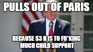 Trump pulls out | PULLS OUT OF PARIS; BECAUSE $3 B IS TO FU*KING MUCH CHILD SUPPORT | image tagged in trump | made w/ Imgflip meme maker