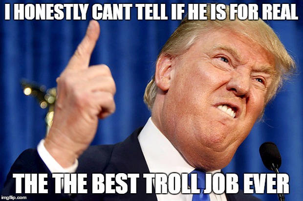 Donald Trump | I HONESTLY CANT TELL IF HE IS FOR REAL; THE THE BEST TROLL JOB EVER | image tagged in donald trump | made w/ Imgflip meme maker
