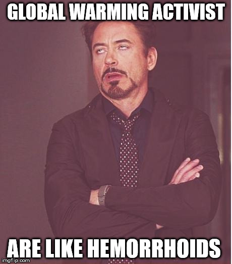 Face You Make Robert Downey Jr Meme | GLOBAL WARMING ACTIVIST; ARE LIKE HEMORRHOIDS | image tagged in memes,face you make robert downey jr | made w/ Imgflip meme maker