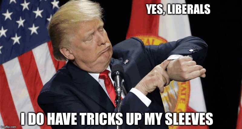Trump drug dealer | YES, LIBERALS; I DO HAVE TRICKS UP MY SLEEVES | image tagged in trump drug dealer | made w/ Imgflip meme maker
