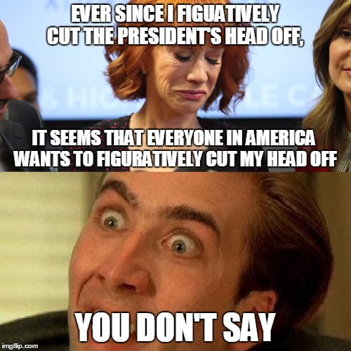 Sad Kathy | EVER SINCE I FIGUATIVELY CUT THE PRESIDENT'S HEAD OFF, IT SEEMS THAT EVERYONE IN AMERICA WANTS TO FIGURATIVELY CUT MY HEAD OFF; YOU DON'T SAY | image tagged in you don't say kathy | made w/ Imgflip meme maker