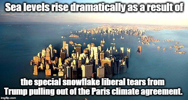 Climate Gate  | Sea levels rise dramatically as a result of; the special snowflake liberal tears from 
 Trump pulling out of the Paris climate agreement. | image tagged in memes,trump,paris climate deal,sjw,politics,donald trump | made w/ Imgflip meme maker