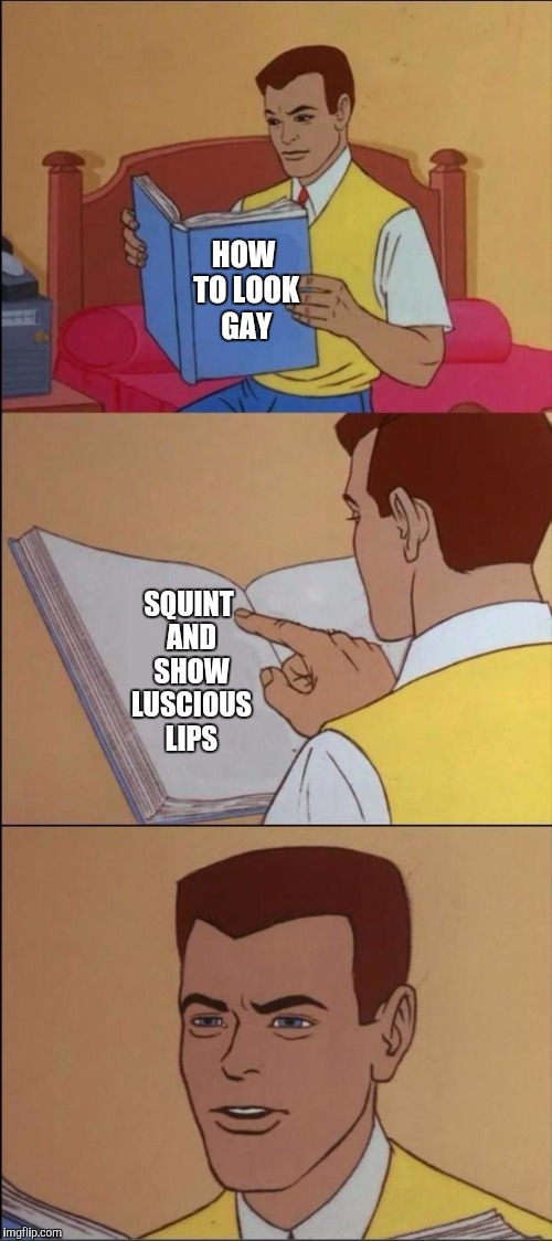 the book of idiots | HOW TO LOOK GAY; SQUINT AND SHOW LUSCIOUS LIPS | image tagged in the book of faggets | made w/ Imgflip meme maker