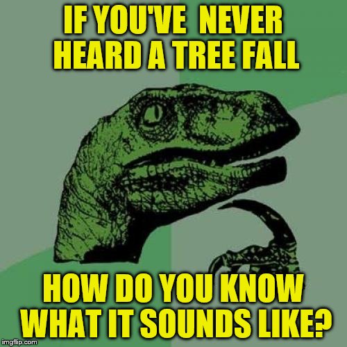 Philosoraptor Meme | IF YOU'VE  NEVER HEARD A TREE FALL HOW DO YOU KNOW WHAT IT SOUNDS LIKE? | image tagged in memes,philosoraptor | made w/ Imgflip meme maker