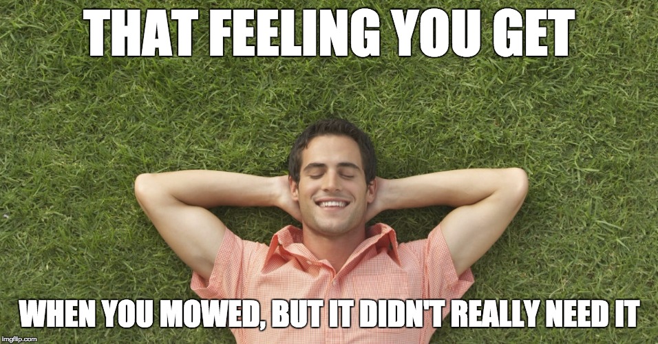THAT FEELING YOU GET; WHEN YOU MOWED, BUT IT DIDN'T REALLY NEED IT | made w/ Imgflip meme maker