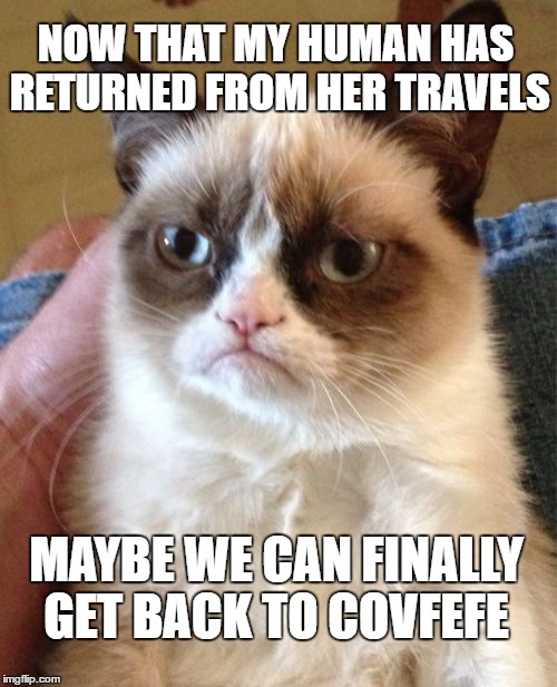 Grumpy Cat Meme | NOW THAT MY HUMAN HAS RETURNED FROM HER TRAVELS; MAYBE WE CAN FINALLY GET BACK TO COVFEFE | image tagged in memes,grumpy cat | made w/ Imgflip meme maker