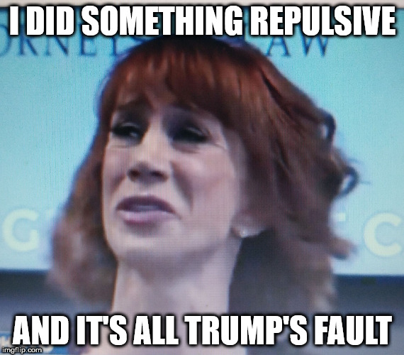 I DID SOMETHING REPULSIVE; AND IT'S ALL TRUMP'S FAULT | image tagged in say it isn't so - ha | made w/ Imgflip meme maker