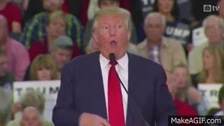 Trump Retarded Blank Meme Template