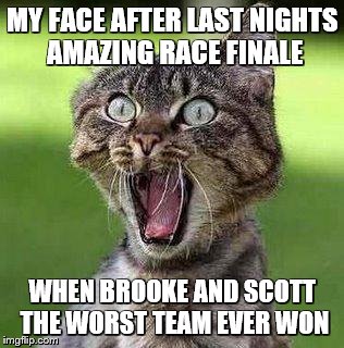 Shocked Cat | MY FACE AFTER LAST NIGHTS AMAZING RACE FINALE; WHEN BROOKE AND SCOTT THE WORST TEAM EVER WON | image tagged in shocked cat | made w/ Imgflip meme maker