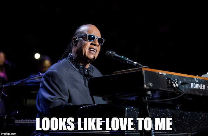 LOOKS LIKE LOVE TO ME | image tagged in stevie wonder | made w/ Imgflip meme maker