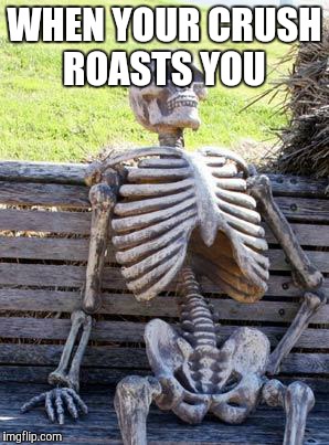 Waiting Skeleton | WHEN YOUR CRUSH ROASTS YOU | image tagged in memes,waiting skeleton | made w/ Imgflip meme maker