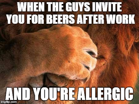 Embarrassed Lion | WHEN THE GUYS INVITE YOU FOR BEERS AFTER WORK; AND YOU'RE ALLERGIC | image tagged in embarrassed lion | made w/ Imgflip meme maker