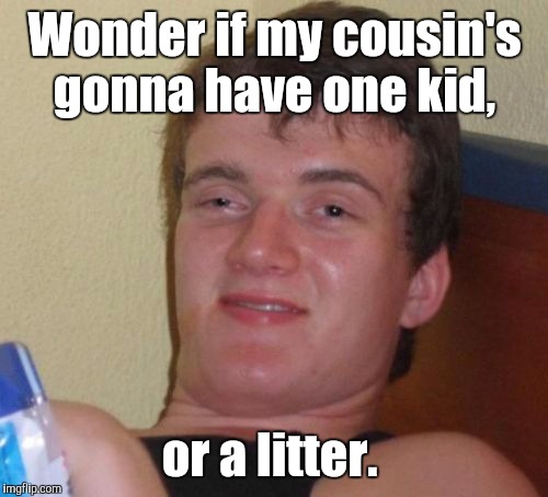 10 Guy Meme | Wonder if my cousin's gonna have one kid, or a litter. | image tagged in memes,10 guy | made w/ Imgflip meme maker