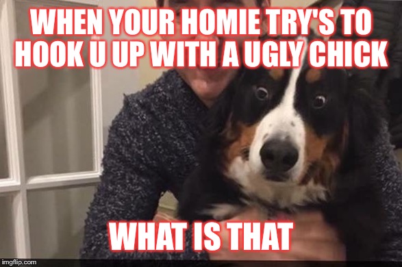 WHEN YOUR HOMIE TRY'S TO HOOK U UP WITH A UGLY CHICK; WHAT IS THAT | image tagged in doggie | made w/ Imgflip meme maker