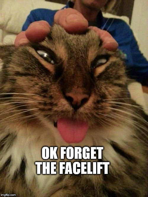 OK FORGET THE FACELIFT | image tagged in no facelift | made w/ Imgflip meme maker