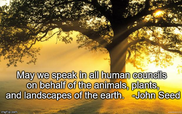 nature | May we speak in all human councils on behalf of the animals, plants, and landscapes of the earth.   -John Seed | image tagged in nature | made w/ Imgflip meme maker
