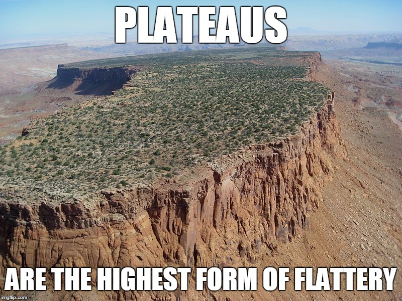 plateaus-are-the-highest-form-of-flattery-r-cleanjokes