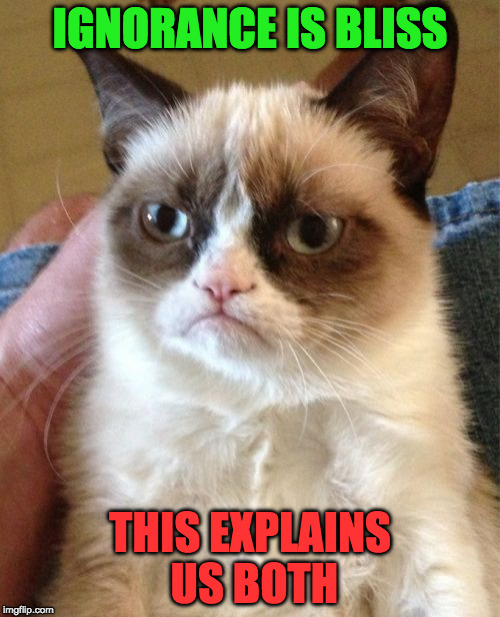 the truth about grumpy cat | IGNORANCE IS BLISS; THIS EXPLAINS US BOTH | image tagged in memes,grumpy cat,smarts,brains,intellegence | made w/ Imgflip meme maker