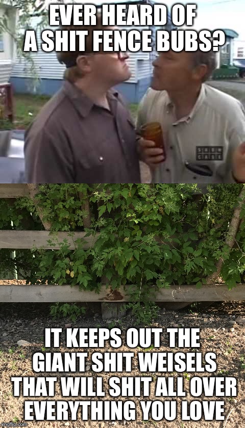 Lahey shit analogy  | EVER HEARD OF A SHIT FENCE BUBS? IT KEEPS OUT THE GIANT SHIT WEISELS THAT WILL SHIT ALL OVER EVERYTHING YOU LOVE | image tagged in trailer park boys,shit,trailer park boys bubbles,philosophy | made w/ Imgflip meme maker